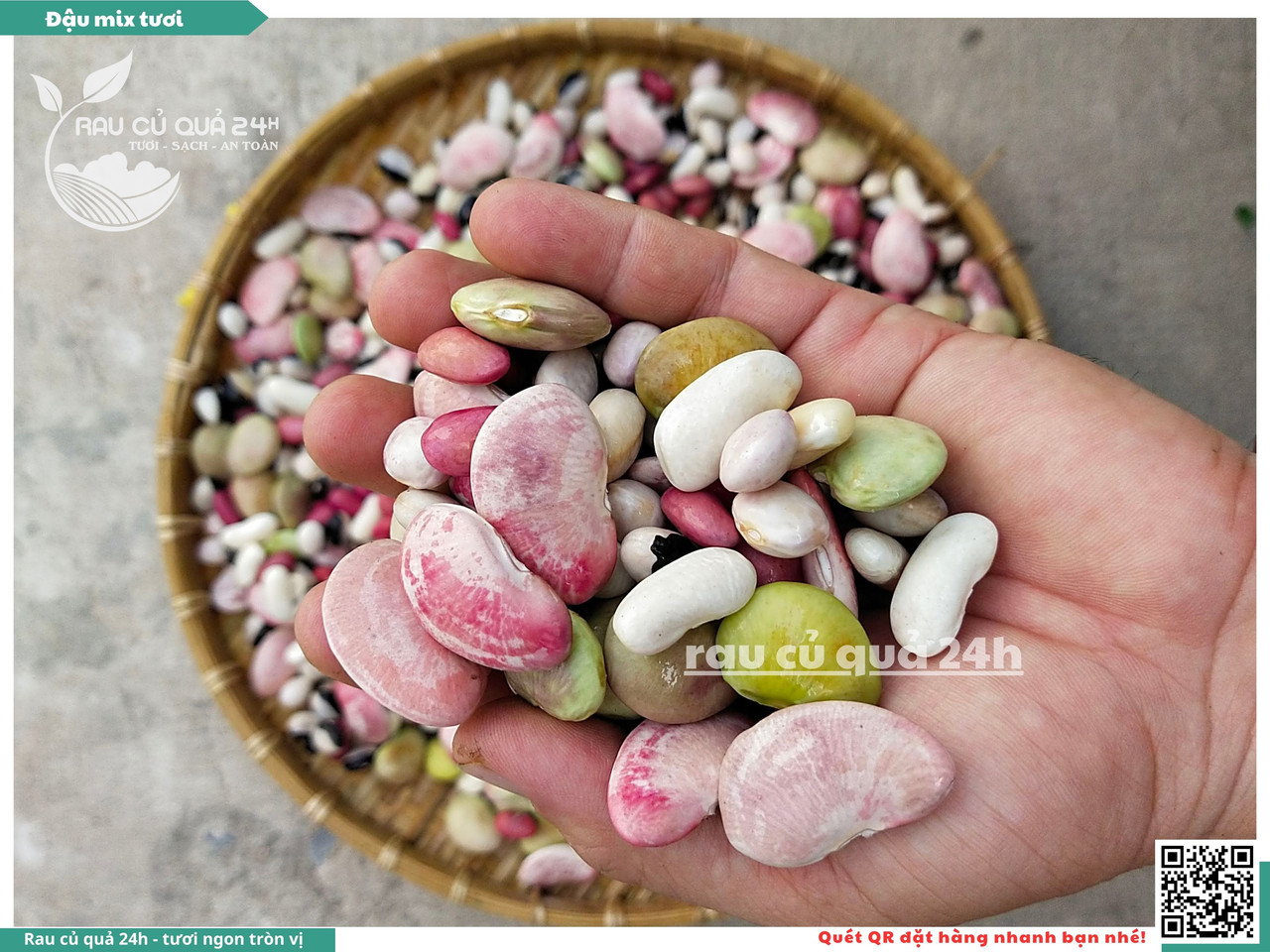 Đậu Mix Tươi 2