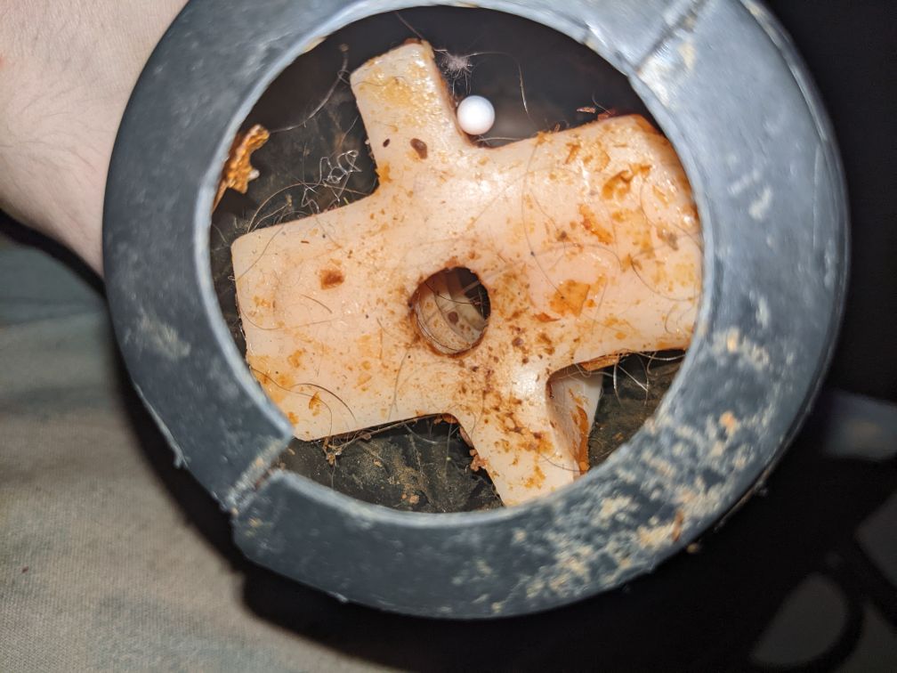 PXL_20230407_060024838