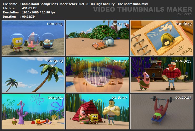 Kamp Koral SpongeBobs Under Years S02E03-E04 High and Dry - The Beardsman.mkv