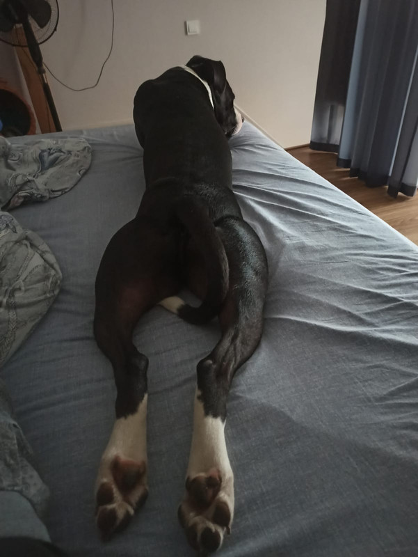 E208C804-771B-49F7-AA48-8E43A6461114