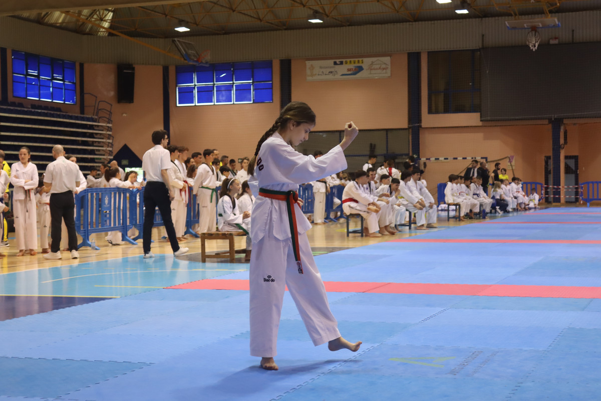 IMG-8540