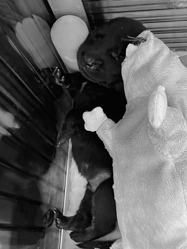 9FF8DB67-9988-445B-9ED1-3975CE889DCA_1_201_a