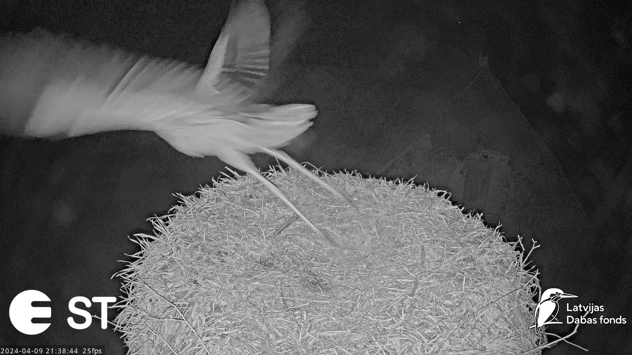 Ekrānuzņēmums 2024-04-09 214941