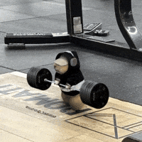 200w-(6).gif