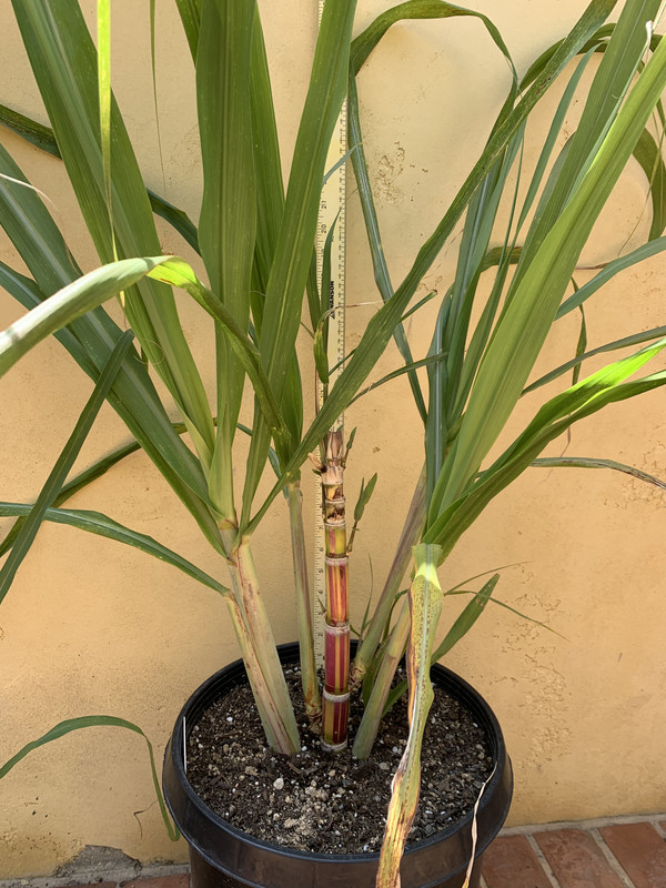 97A6559E-4EDA-4CA2-AA35-E1D0C8DA8450