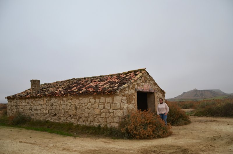 Navarra y sus pueblos-2015 - Blogs de España - Las Bárdenas Reales-15-11-2015 (69)