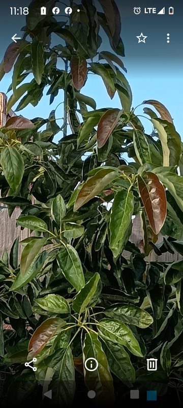 Screenshot_20241212-111856