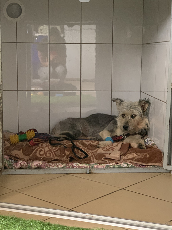 E2E76D65-3AA3-48FD-86B4-D6A12265EE8E