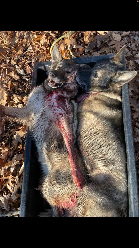 5F6B62CD-6887-4F69-8D54-172BDD56973F