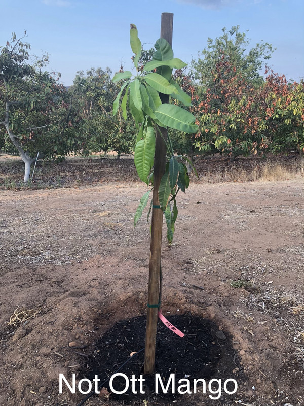 67C8BB7E-235B-435C-8B0D-B28CDDC43129