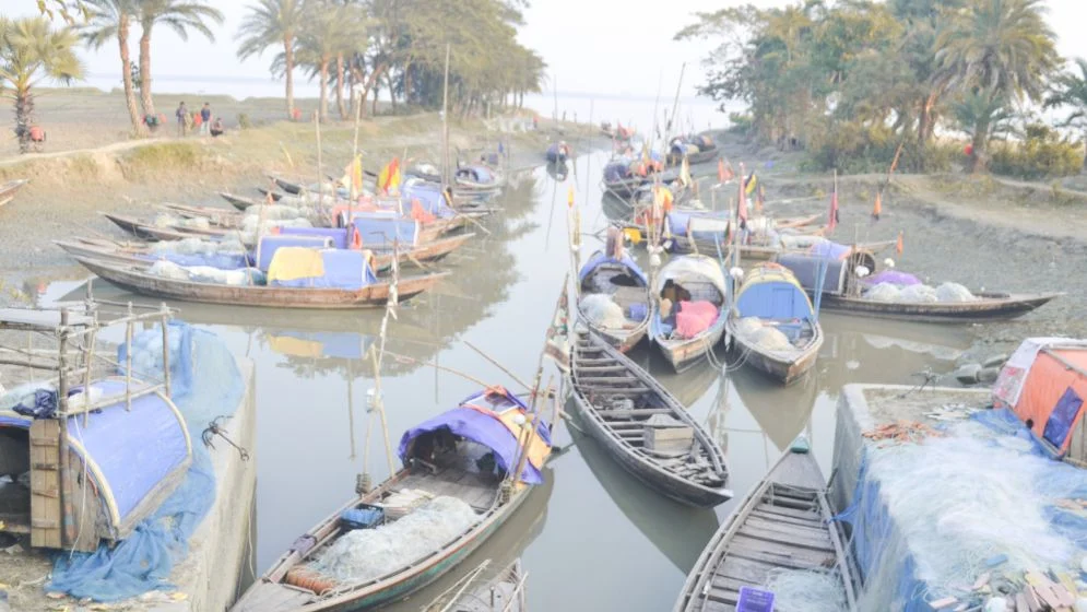 মা ইলিশ রক্ষার নিষেধাজ্ঞা অভিযান বাস্তবায়ন নিয়ে শঙ্কা