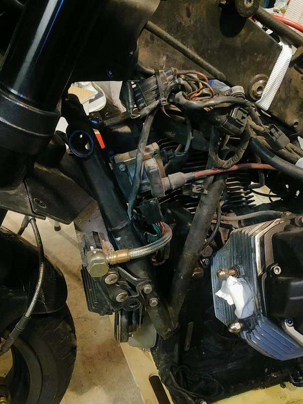 IMG_20181126_205540 (1)