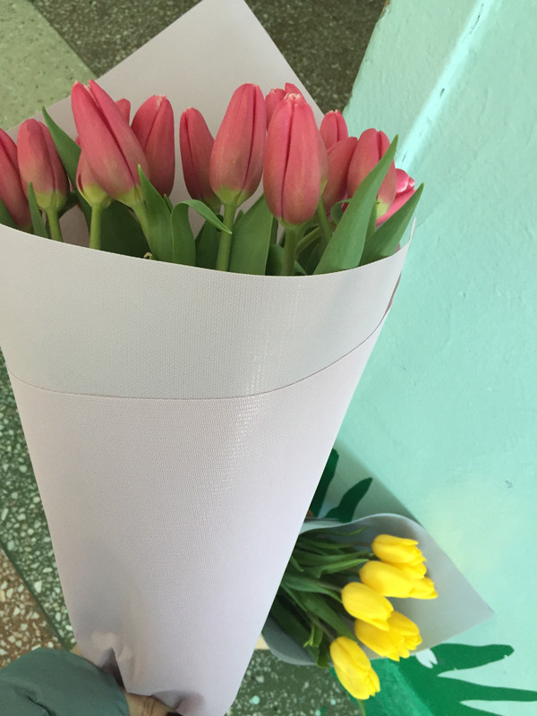 3DBC1309-DAB0-4B17-9D08-3ED56A5EF4DF