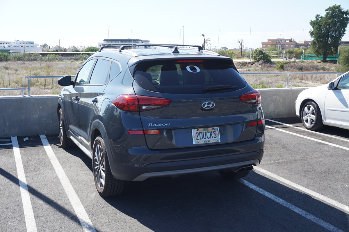 (USA) HI_2DUCKS back