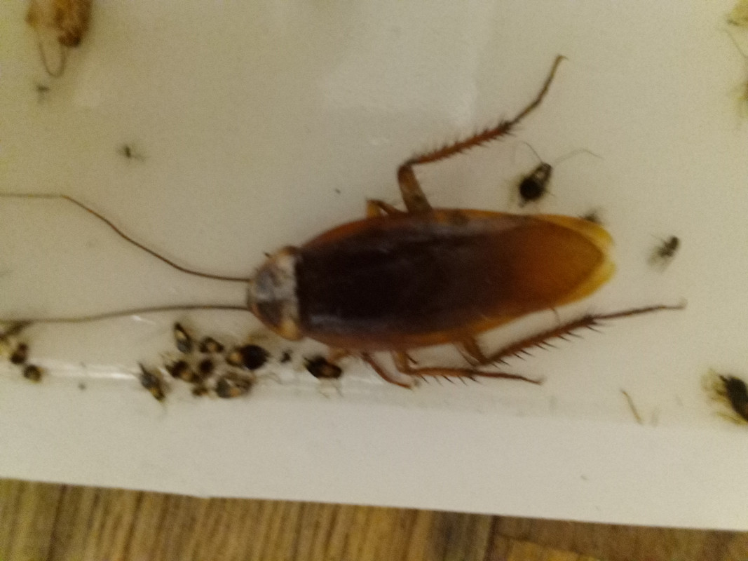 0F82EE38-FD07-4DE0-A63E-93799426ADEA