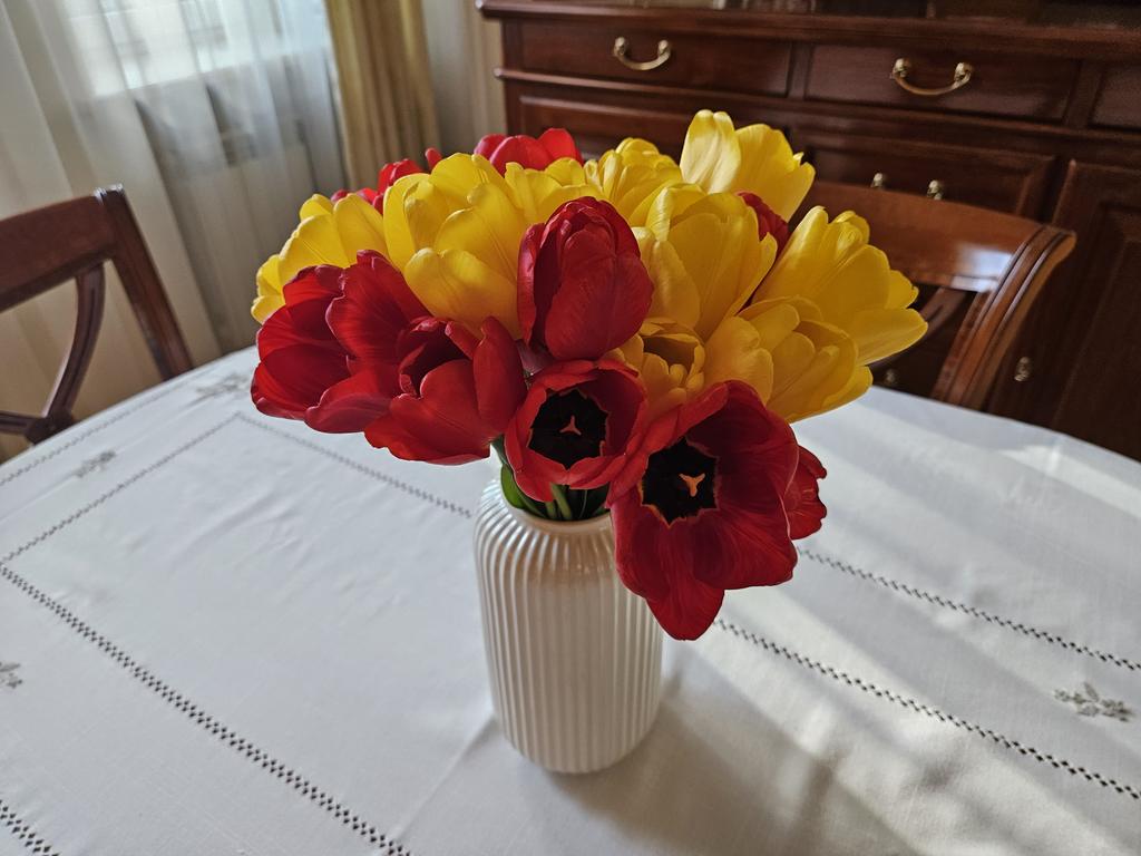[Image: 20260426-175456.jpg]