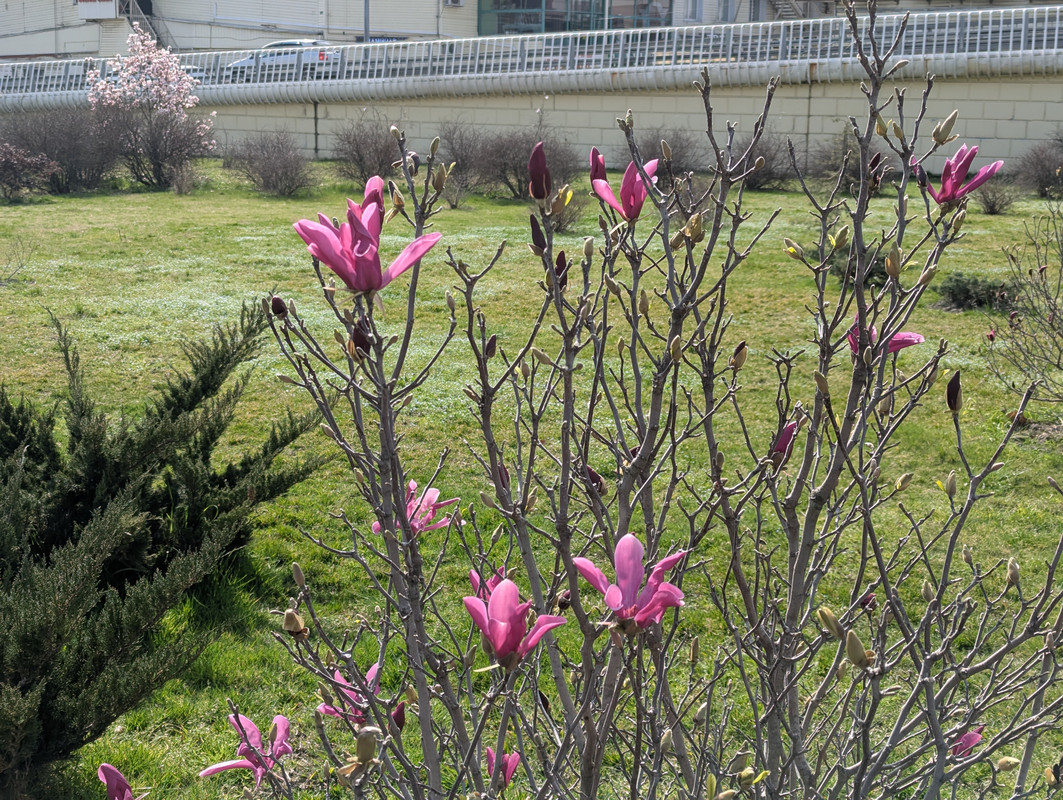 PXL_20250315_081444126