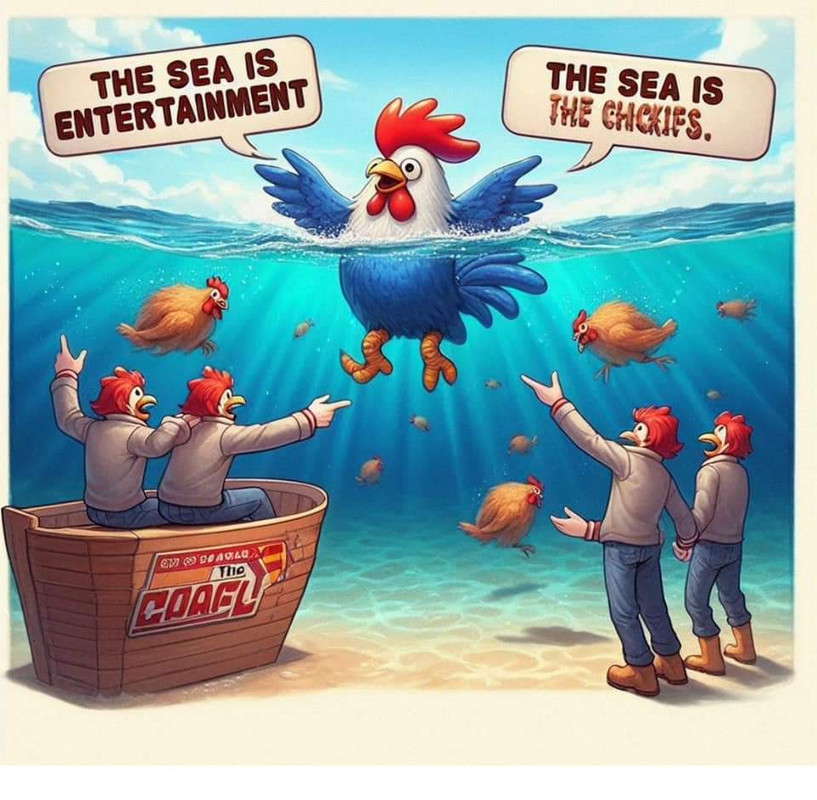 FB-IMG-1719146877455