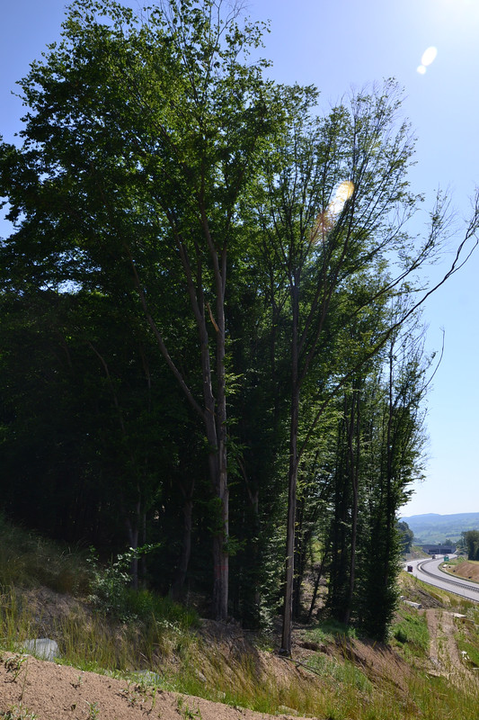DSC_4127