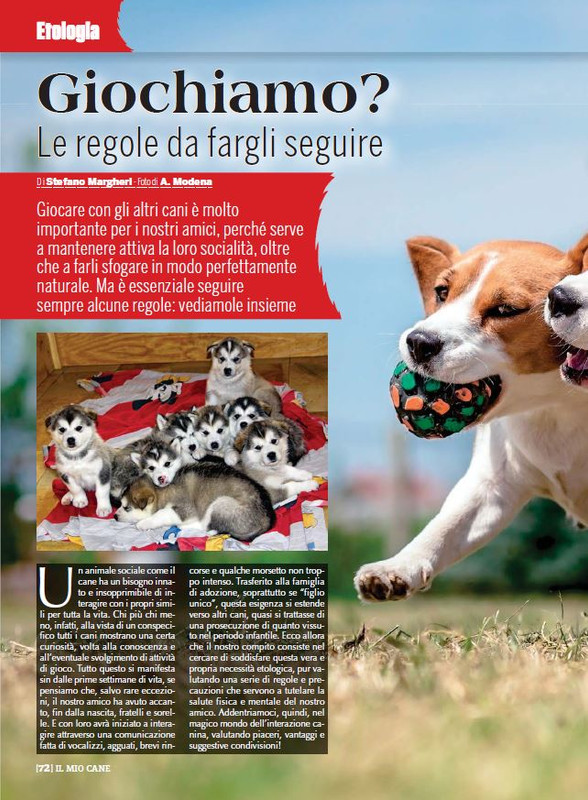 Il M C Dic 2022-Gen 2023 (11)