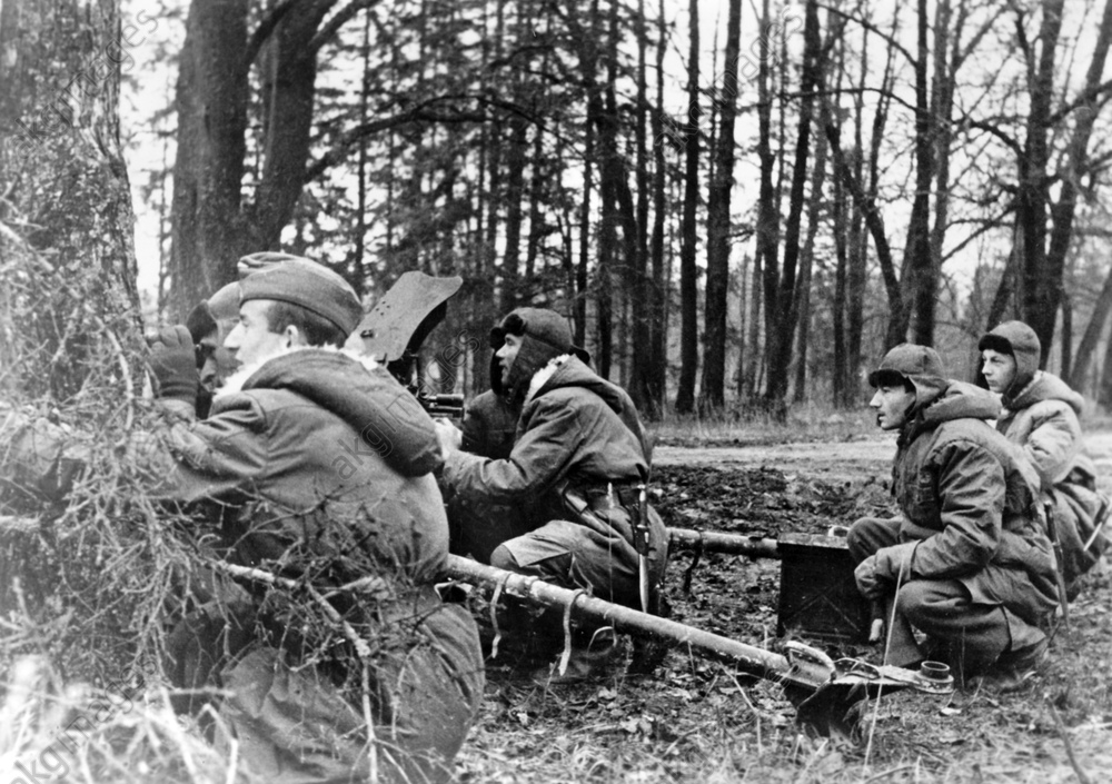 II. WK - Flämische Legion 1943.