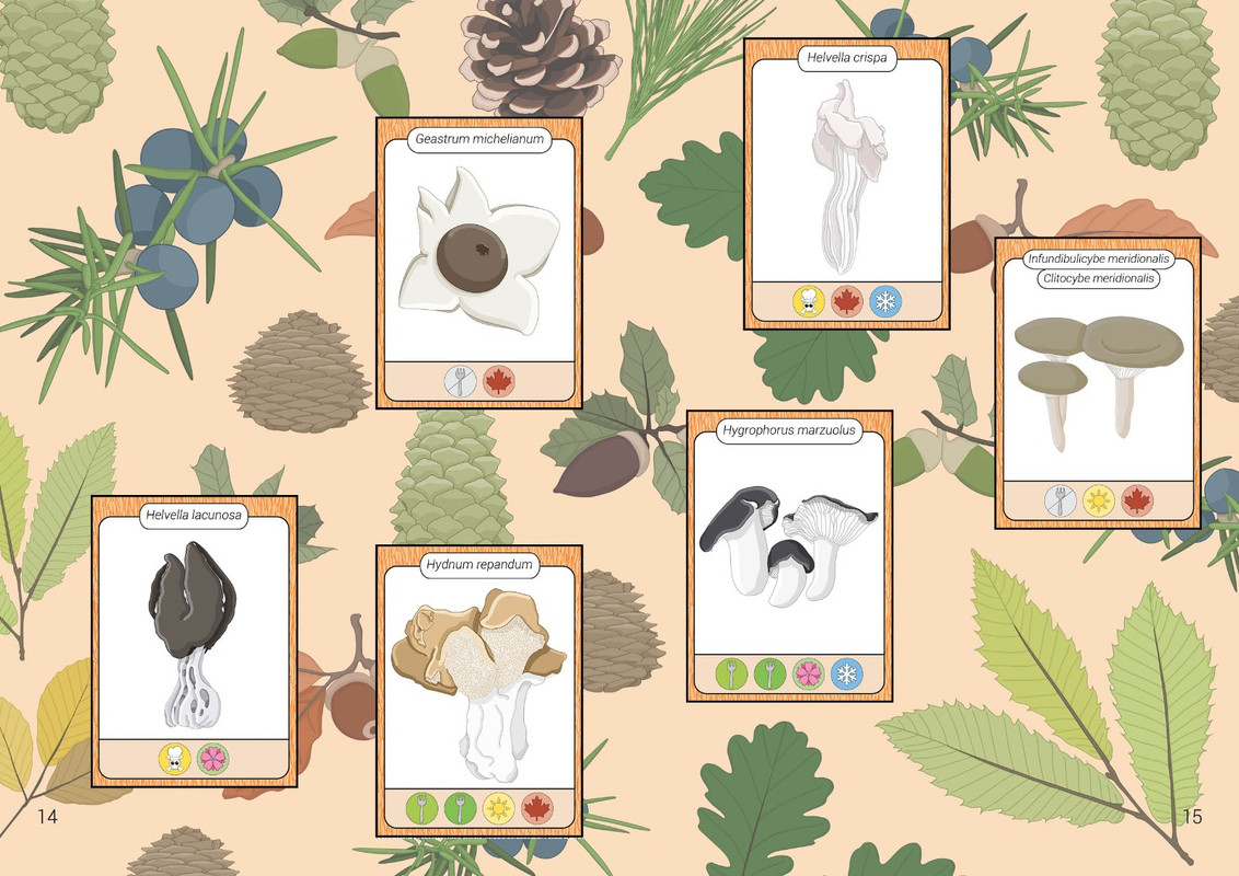 WhatsApp Image 2022-12-03 at 13.39.43 (1)