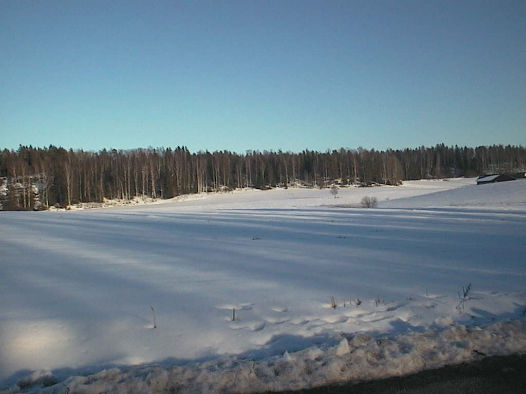 pävänlöytö 09032016raivattu metsa lahdesta keha 