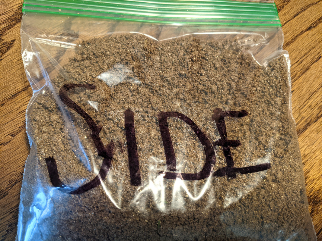 PXL_20210424_140406239