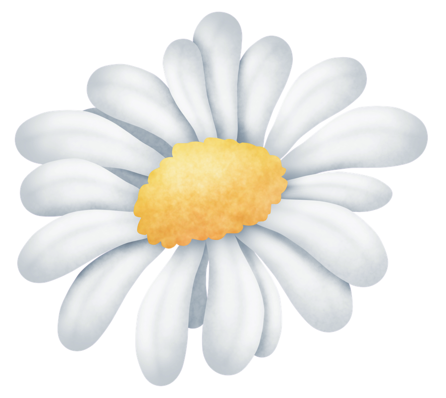 element_ks (33)