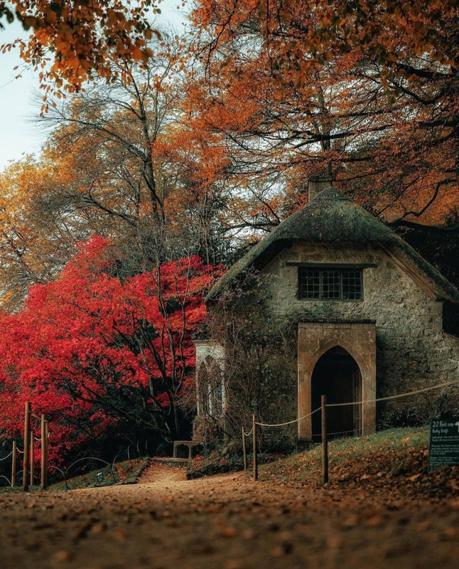 Screenshot_20231207_153457_Instagram