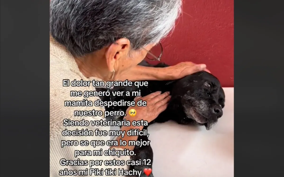 Abuelita se despide de su perro en emotivo video que se hizo viral