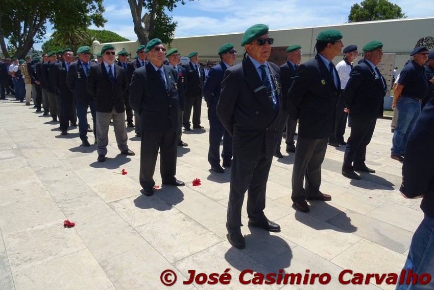 19095304_1447214131984610_8656040021975672429_o