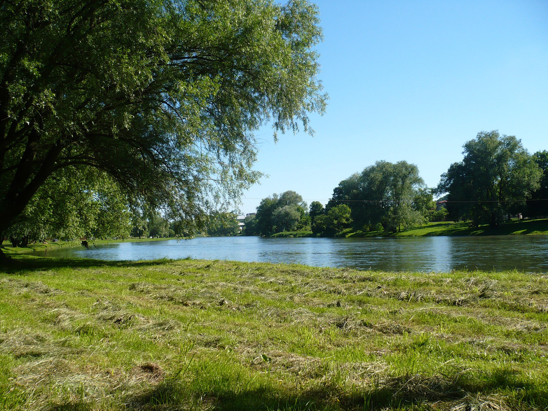 119 - P1060758 (Ace79)