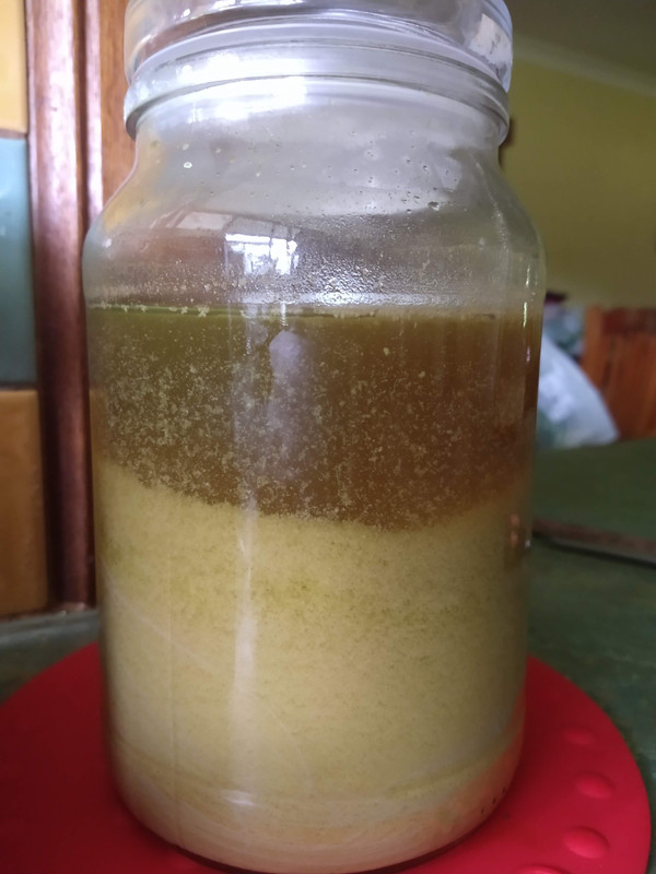 369016062-IMG_20200620_141503878