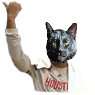 Cupace20220725231736559.png