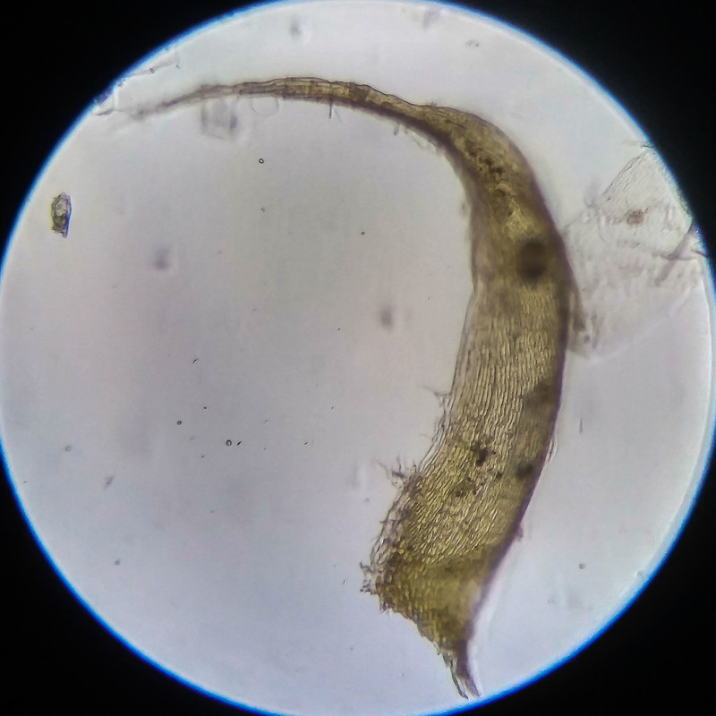 IMG 20250614 204814 HDR