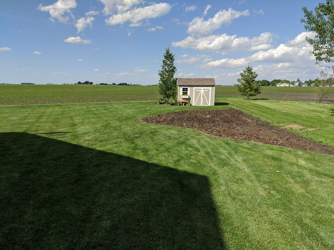 MVIMG_20200603_164809