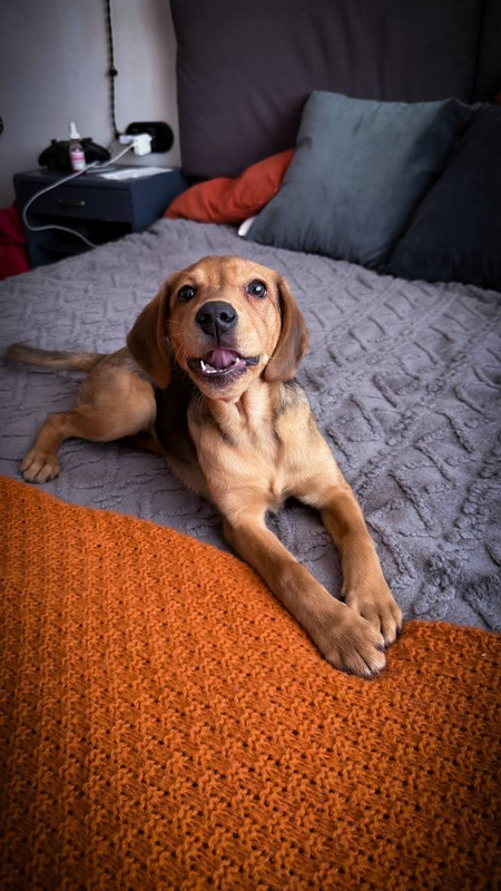 IMG 20260221 134118 063