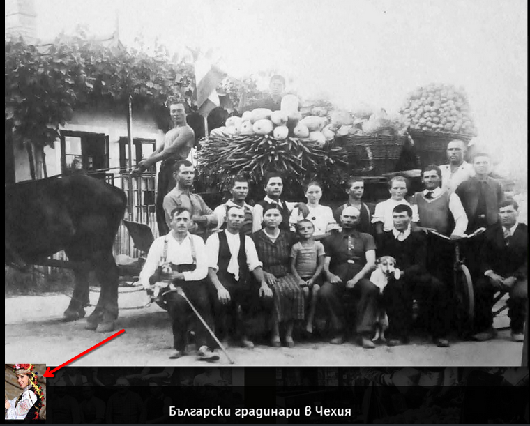 gradinari-1.png