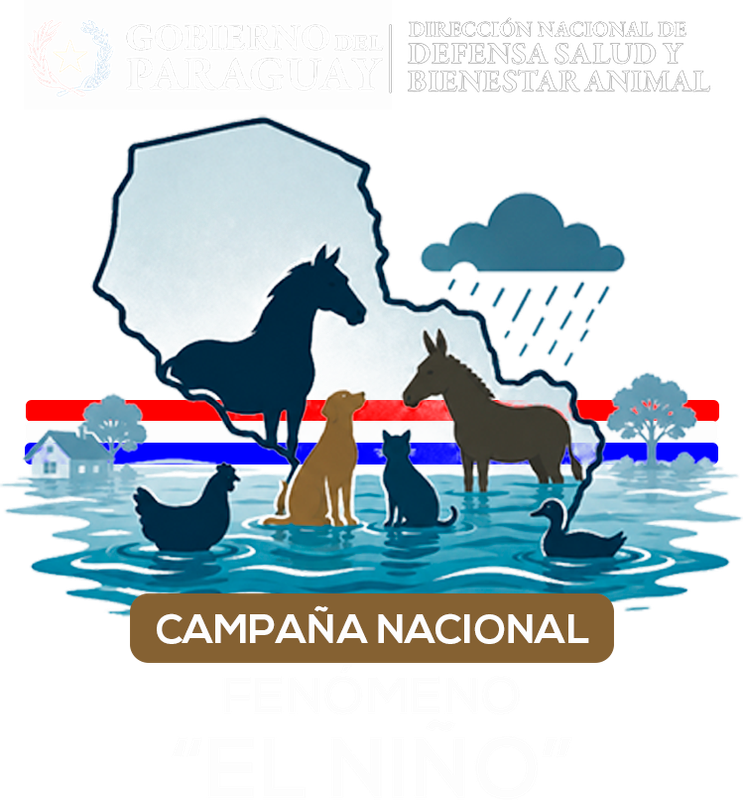 Logo El Niño