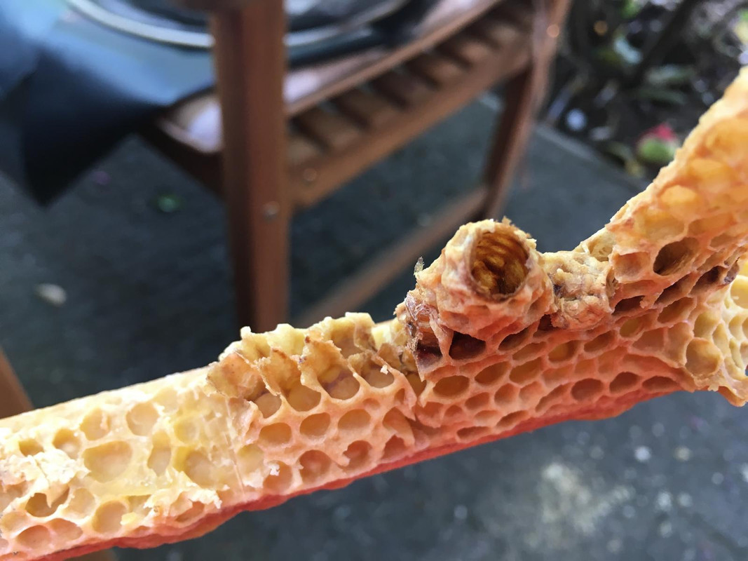 9C67FB04-DE66-4DC2-8F76-7CA630D2E7A9