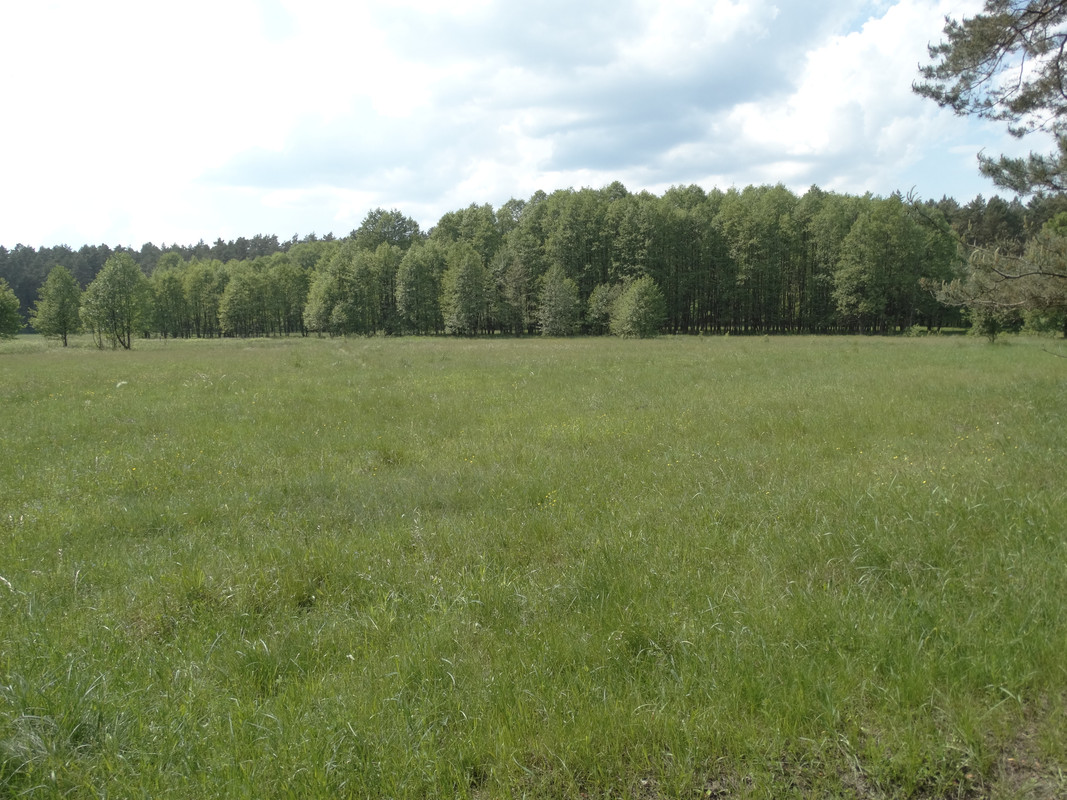 24 - DSC04124 (Czesio1)