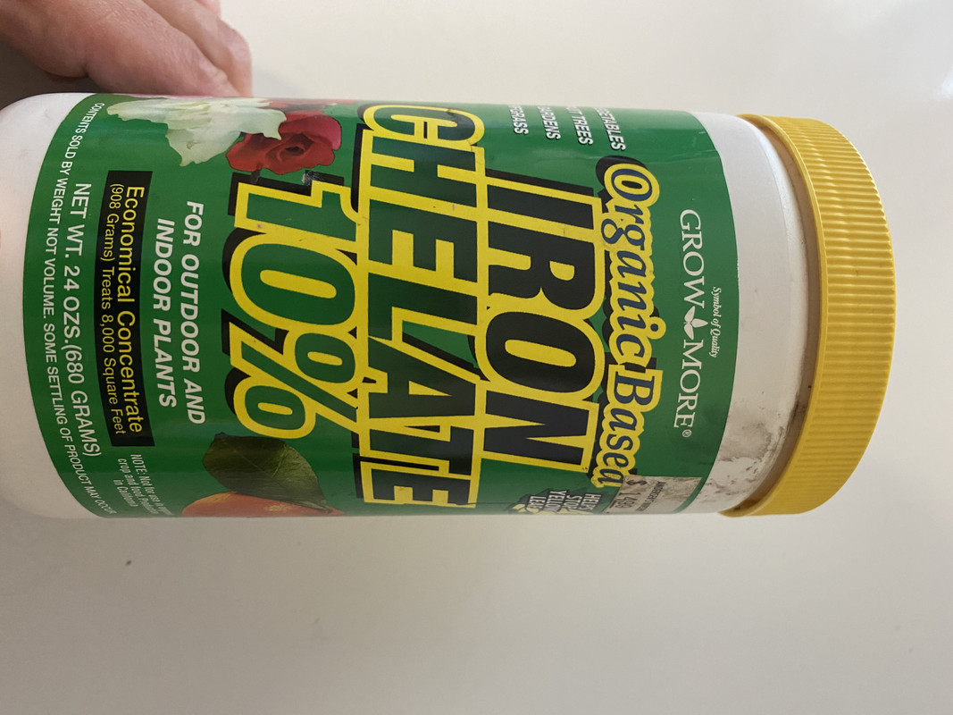 17306B38-44EA-4716-924A-220CB4B4212E