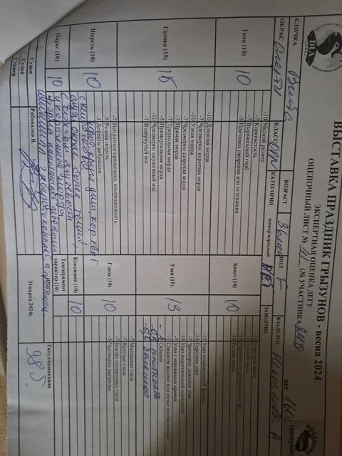 Изображение