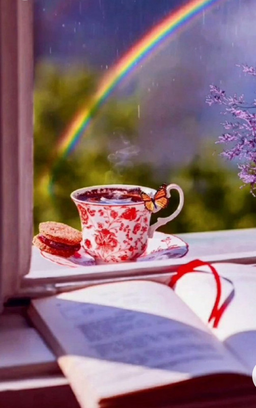 Screenshot_20230211_135405_Chrome