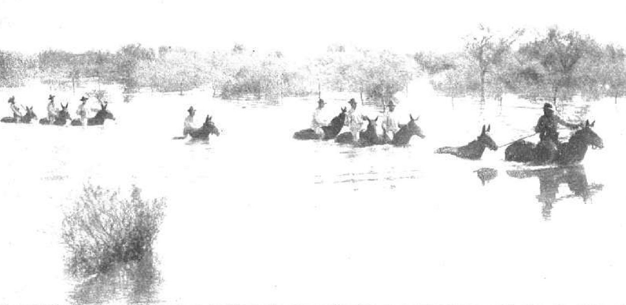 Imprimir_p01(26)-crop3-crop