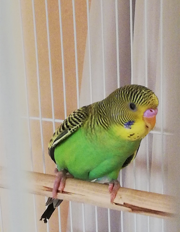 IMG_٢?١٨١٢?٢_١١٢٦?٨