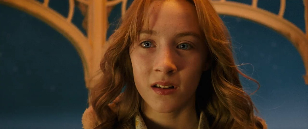 The Lovely Bones 2009 BluRay [Hindi + English] 480p, 720p ESub Screenshot