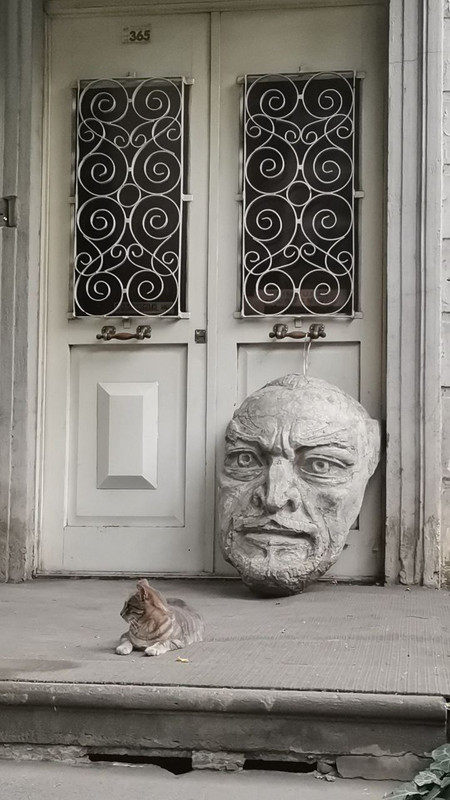 photo-2022-07-26-19-36-10