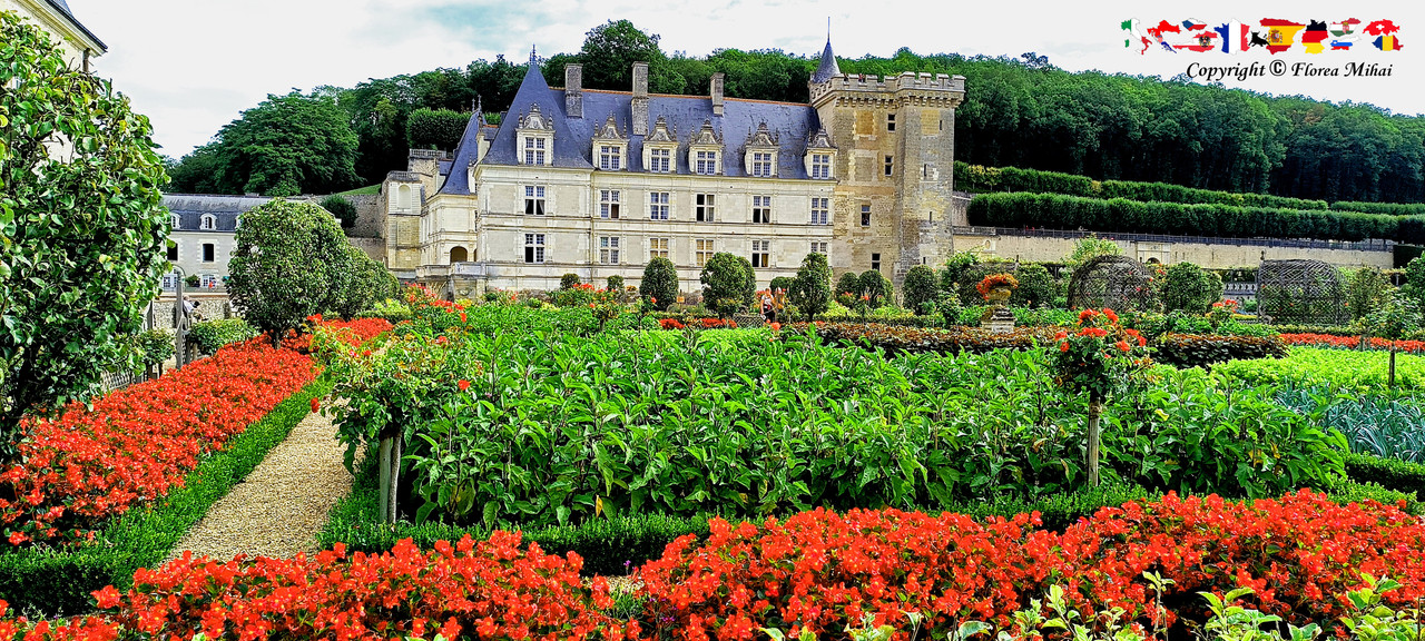 Villandry-2023-09-13-114601.jpg